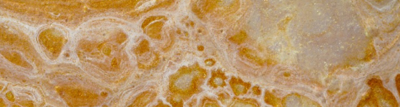 LOUIS - Banner image 1